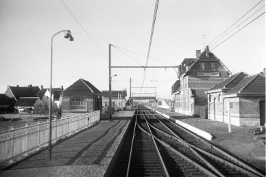 Drongen - BD-4723.jpg